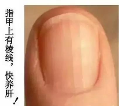 心、肝、脾、肺、肾的毒藏在哪里 你知道吗?