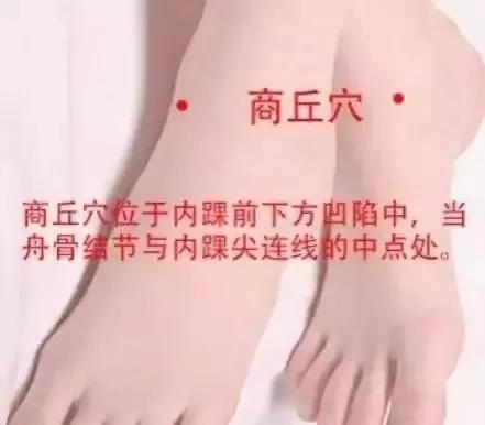心、肝、脾、肺、肾的毒藏在哪里 你知道吗?