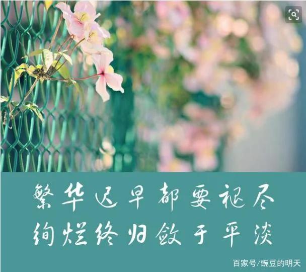 平平淡淡 才是真正的生活!