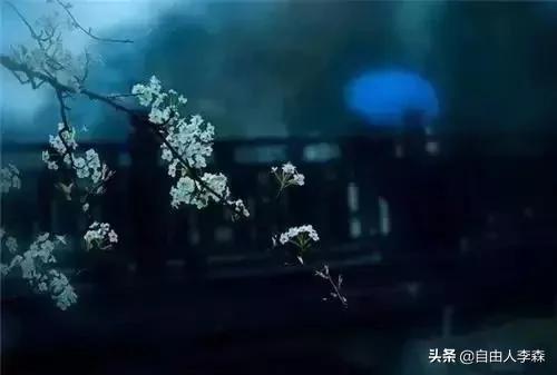吞下了委屈 喂大了格局!(深度好文)