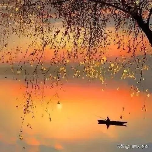 吞下了委屈 喂大了格局!(深度好文)