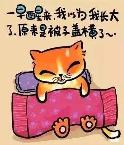 15个人生歪理 不服不行