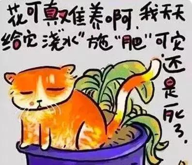15个人生歪理 不服不行