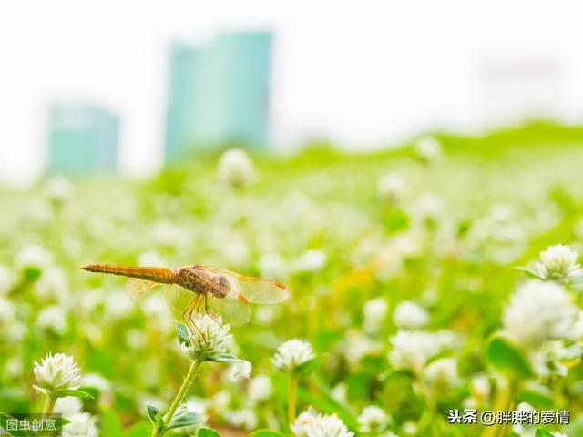 用心甘情愿的态度 过随遇而安的生活!