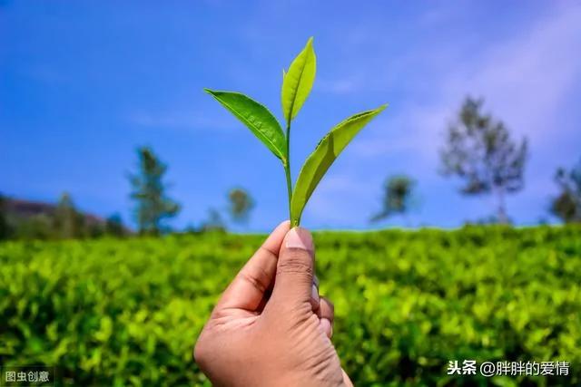 用心甘情愿的态度 过随遇而安的生活!