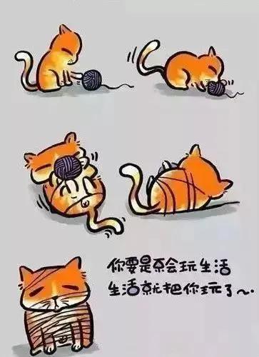 人生歪理 太有道理了!!