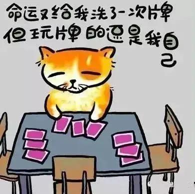 人生歪理 太有道理了!!