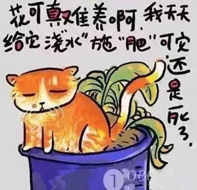 人生歪理 太有道理了!!