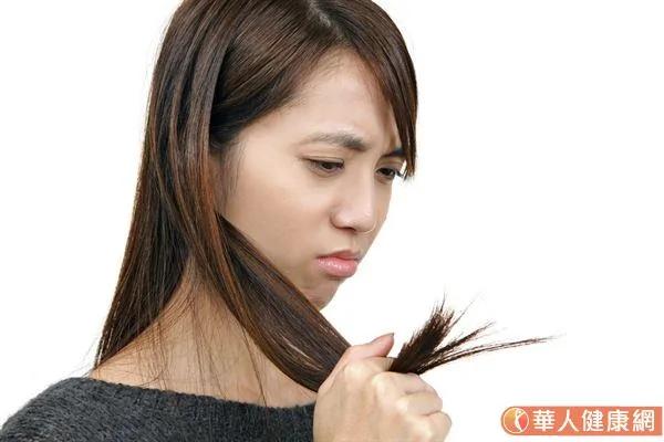 藏在头发里的健康密码 白发、稀疏、出油 这些头皮问题这样解