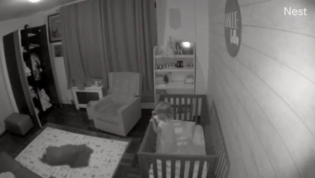 宝宝半夜苏醒 保母汪马上「冲进来哄睡」 新手爸妈感动!