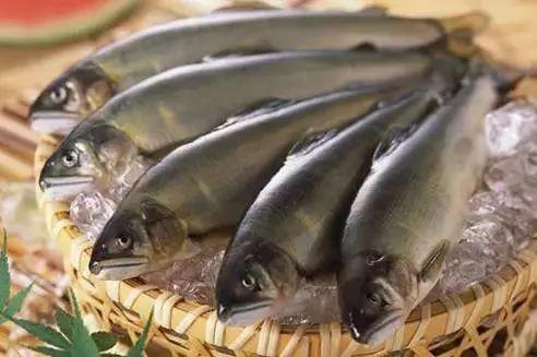 放冰箱坏得更快的14种食物 看完后都去清理自家的冰箱了
