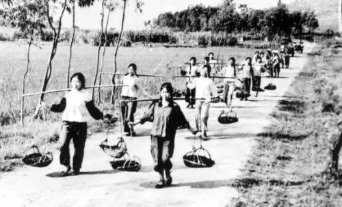 归国华侨的遭遇:变相劳改