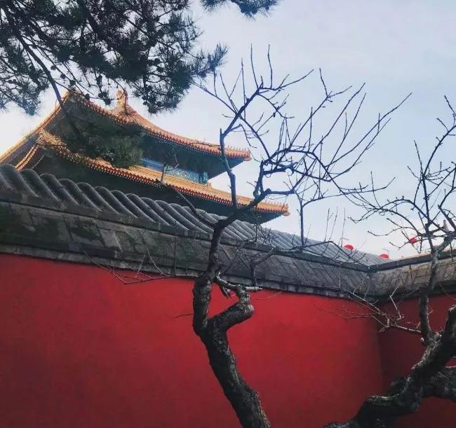 《礼记》经典十句:告诉你什么叫“会说话”!