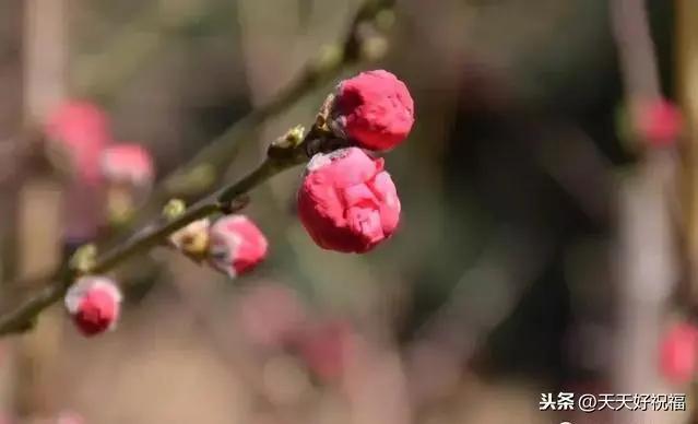 人生五个怕 五不交 五要点 五让 五乐 值得一看!