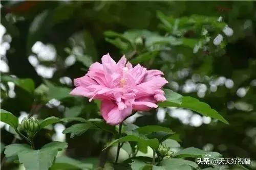 人生五个怕 五不交 五要点 五让 五乐 值得一看!