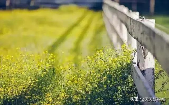 深度好文:做人有尺 讲话有度!