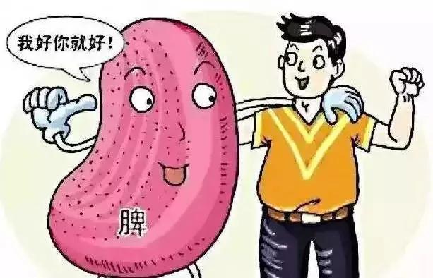 气血两虚 虚不受补怎么办?