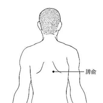 气血两虚 虚不受补怎么办?
