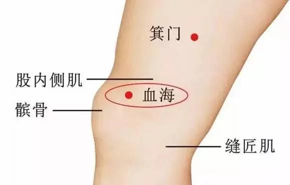 气血两虚 虚不受补怎么办?