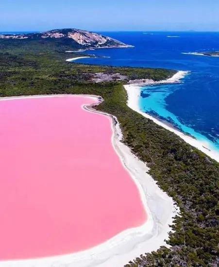 澳洲粉红湖变蓝十载 科学家声称有方法恢复
