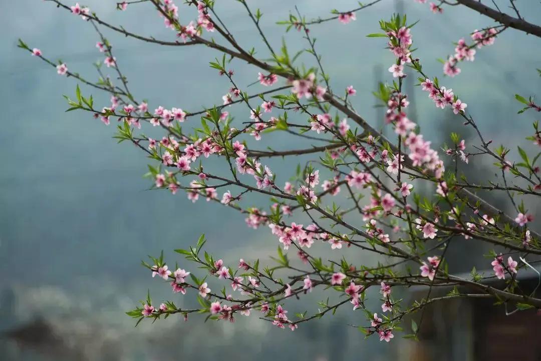 会说话是教养 管住嘴是修养