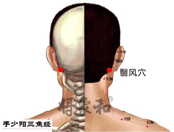 人体自带长寿“窝” 每天按一按 舒经活络 护脏器 早学早受益