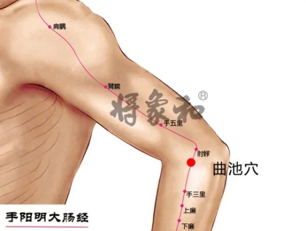 人体自带长寿“窝” 每天按一按 舒经活络 护脏器 早学早受益