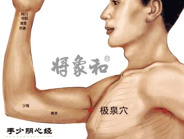 人体自带长寿“窝” 每天按一按 舒经活络 护脏器 早学早受益