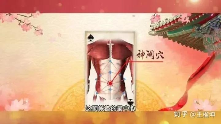 人体自带长寿“窝” 每天按一按 舒经活络 护脏器 早学早受益