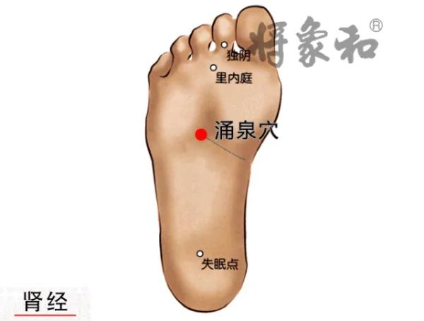 人体自带长寿“窝” 每天按一按 舒经活络 护脏器 早学早受益