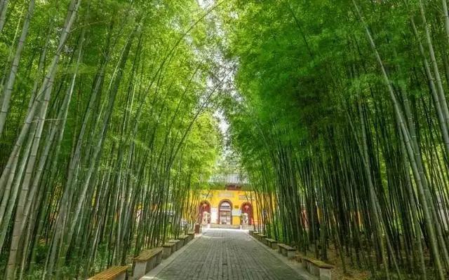 伤害这两种人 因果报应最大!