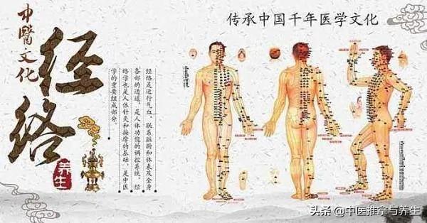 必看!中医养生三部曲——气血充足、经络畅通、脏腑平衡