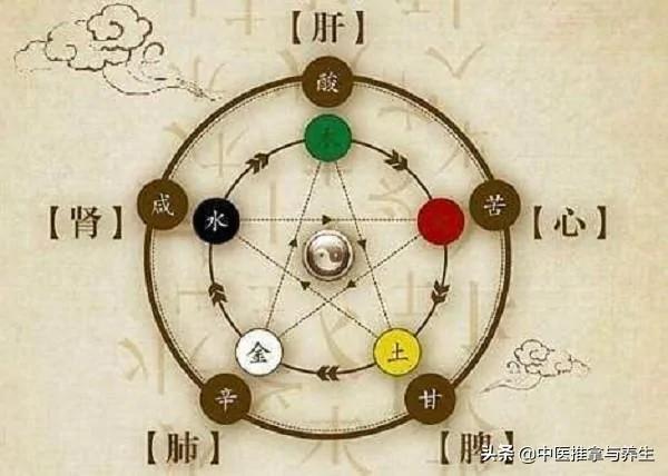 必看!中医养生三部曲——气血充足、经络畅通、脏腑平衡