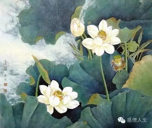 生活中 最贴心的3句话 受用一生!