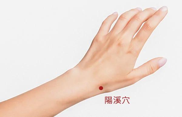头痛眩晕久咳不愈 艾灸解决10种小毛病