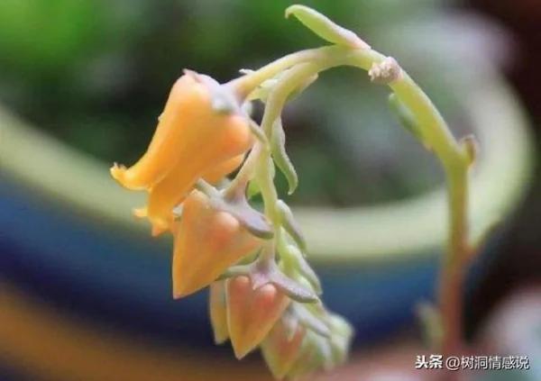 做人 再有本事 也要对三个人“低声下气”!