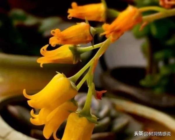 做人 再有本事 也要对三个人“低声下气”!