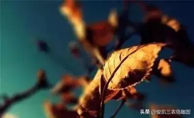 坚持做好九件事 你会越来越顺!