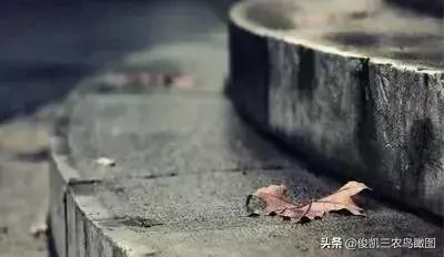 坚持做好九件事 你会越来越顺!