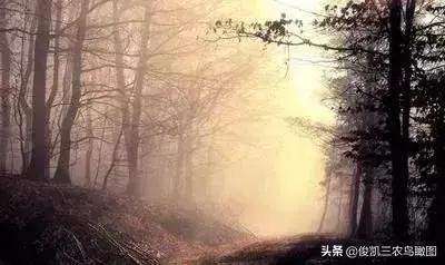 坚持做好九件事 你会越来越顺!