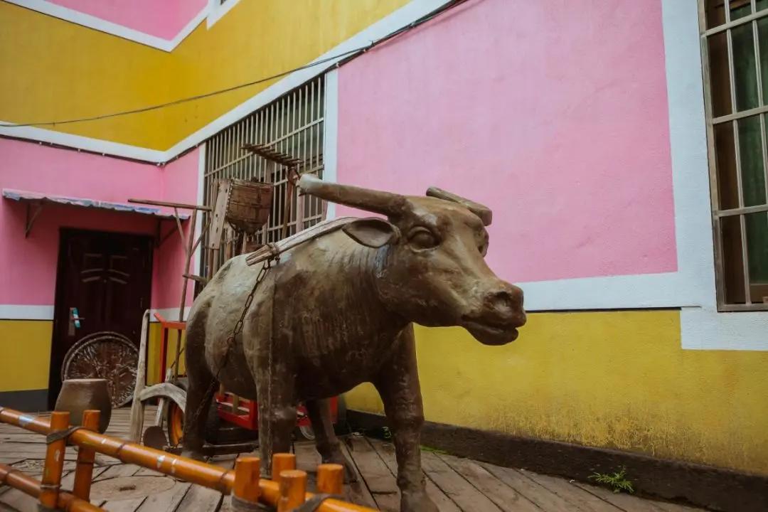金华出了个”好色”村!美女却都往这赶!这里动物不怕人 蔬菜个个比人大!