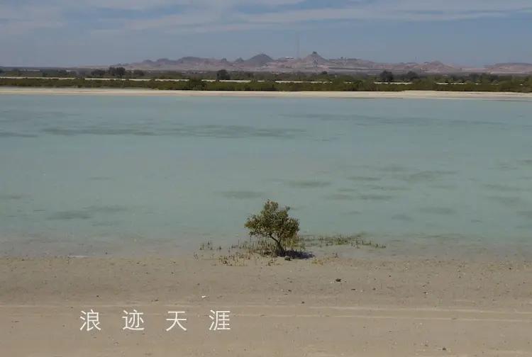 去迪拜坐游轮 发现一处阿拉伯的隐秘小岛!