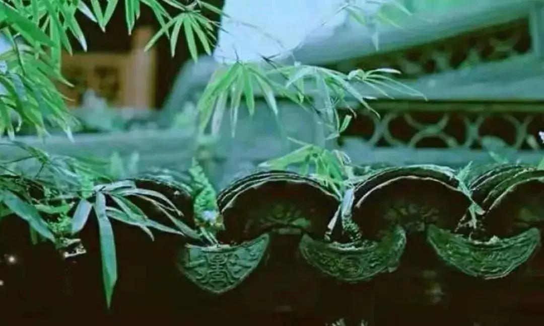 宁给君子提鞋 不和小人同财!