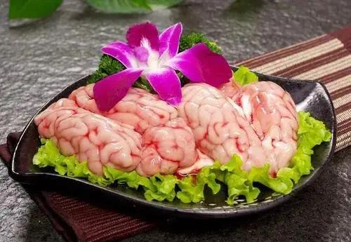 吃核桃补脑 吃腰子壮阳 “以形补形”其实害人不浅!