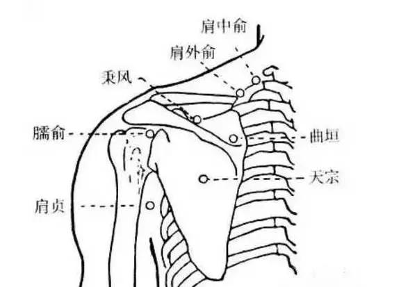 风是百病之始 秋风起 护好身上7处挡风墙!
