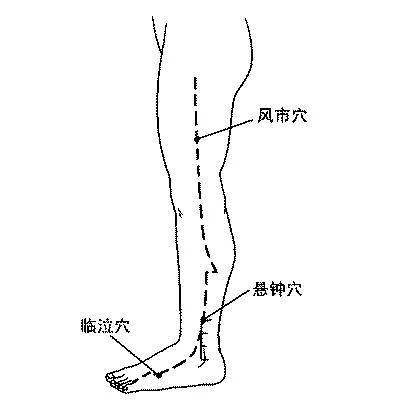 风是百病之始 秋风起 护好身上7处挡风墙!