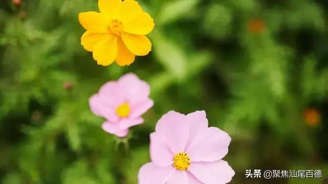 深度好文:人生如棋 有进就有退!