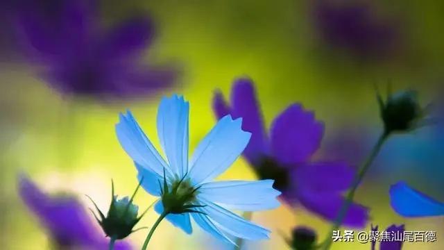 深度好文:人生如棋 有进就有退!