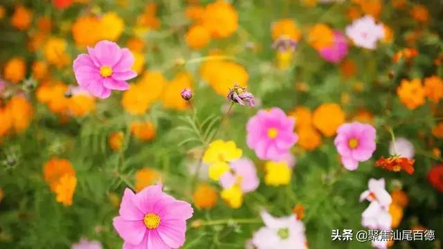 深度好文:人生如棋 有进就有退!