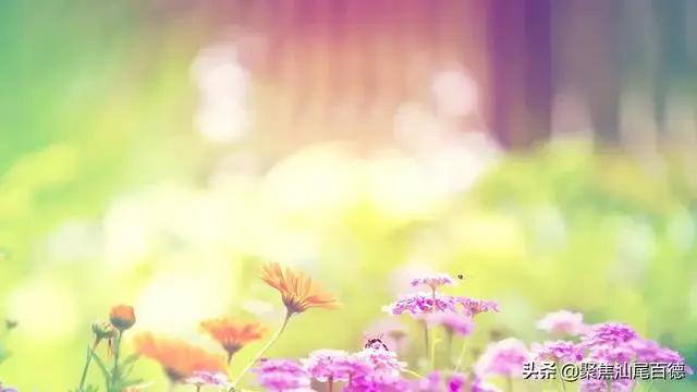 深度好文:人生如棋 有进就有退!